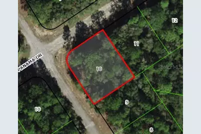 517 E Nemo Drive, Citrus Springs, FL 34434 - Photo 4