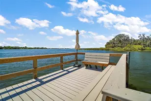 629 Sandlake Ct, Mount Dora, FL 32757 - Photo 8