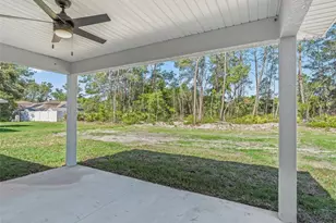 118 Bay Dr, Ocklawaha, FL 32179 - Photo 28