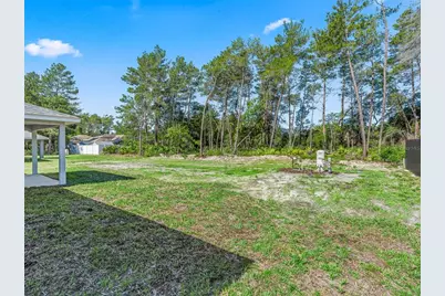 118 Bay Drive, Ocklawaha, FL 32179 - Photo 34