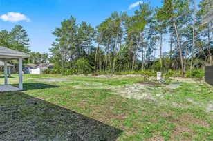 118 Bay Dr, Ocklawaha, FL 32179 - Photo 34