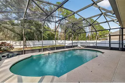 2598 Plumadore Drive, Grand Island, FL 32735 - Photo 30