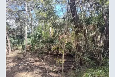 5979 E Wingate, Inverness, FL 34452 - Photo 4