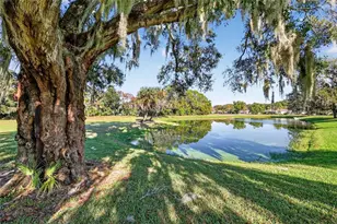 579 Juniper Way, Tavares, FL 32778 - Photo 34