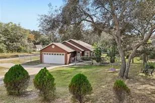 4542 Lemon St, Lady Lake, FL 32159 - Photo 54