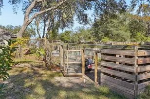 4542 Lemon St, Lady Lake, FL 32159 - Photo 38