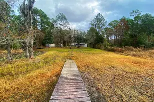 23330 NE 117th Terrace, Fort Mc Coy, FL 32134 - Photo 36