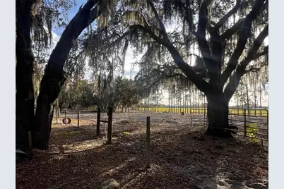 3230 Empire Church Road, Groveland, FL 34736 - Photo 8