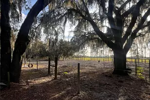 3230 Empire Church Rd, Groveland, FL 34736 - Photo 8