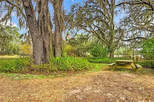 3230 Empire Church Rd, Groveland, FL 34736 - Photo 24