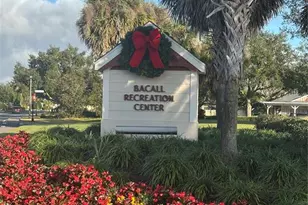 1953 Greeleyville Terrace, The Villages, FL 32162 - Photo 54