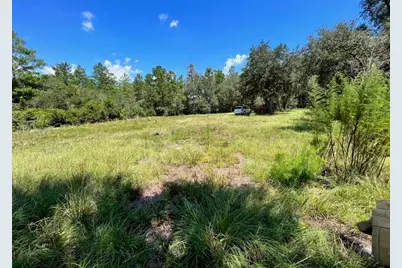 Steward Road, Eustis, FL 32726 - Photo 2
