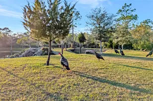 7330 Crabgrass Rd, Saint Cloud, FL 34773 - Photo 42