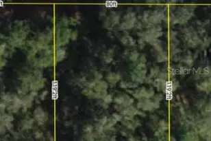 0000 SE 97th Pl, Ocklawaha, FL 32179 - Photo 1