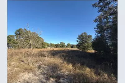 24939 County Road 33, Groveland, FL 34736 - Photo 16