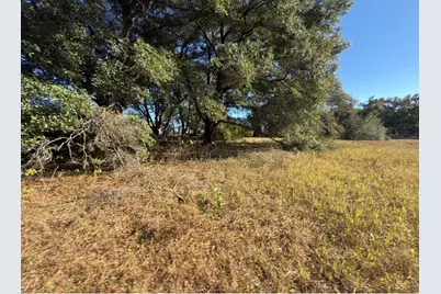 24939 County Road 33, Groveland, FL 34736 - Photo 30