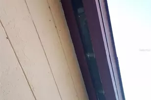 709 Alton Ave, Orlando, FL 32804 - Photo 14