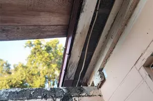 709 Alton Ave, Orlando, FL 32804 - Photo 12