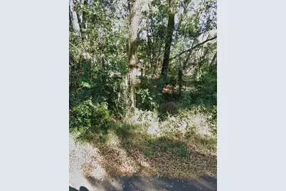 0 E Fruitland Street, Fruitland Park, FL 34731 - Photo 4