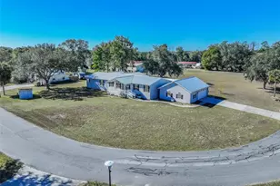 27925 N Pelican Isle Dr, Leesburg, FL 34748 - Photo 66