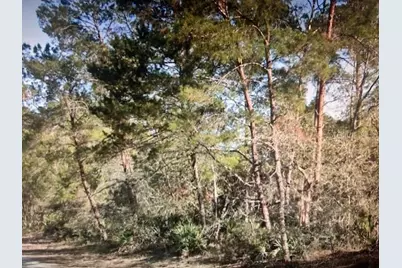 3248 Glen Springs Avenue, Lake Placid, FL 33852 - Photo 2