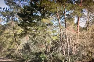 3248 Glen Springs Ave, Lake Placid, FL 33852 - Photo 2