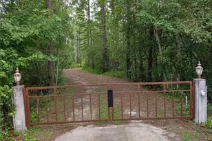 10411 County Rd 474, Clermont, FL 34714 - Photo 2