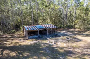 10411 County Rd 474, Clermont, FL 34714 - Photo 52