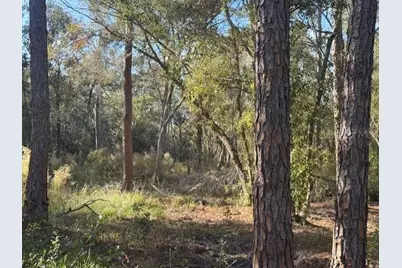 6355 Treiman Boulevard, Ridge Manor Estates, FL 33597 - Photo 10