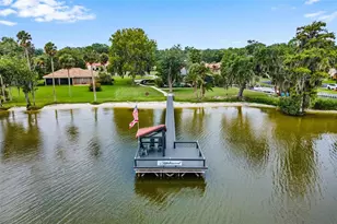 402 Clusterwood Dr, Yalaha, FL 34797 - Photo 60