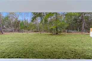 118 Malauka Loop, Ocklawaha, FL 32179 - Photo 8
