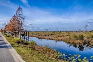 417 Blue Cypress Dr, Groveland, FL 34736 - Photo 56