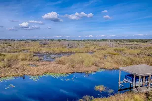 417 Blue Cypress Dr, Groveland, FL 34736 - Photo 56