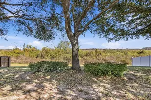 1037 Bluegrass Dr, Groveland, FL 34736 - Photo 42