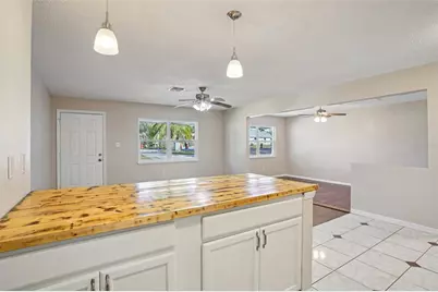 501 Dora Avenue, Tavares, FL 32778 - Photo 14