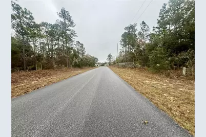 7983 N Jamaica Drive, Citrus Springs, FL 34433 - Photo 16