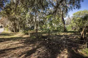 2440 Cr 522, Sumterville, FL 33585 - Photo 14