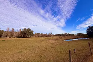 13942 Mascotte Empire Rd, Groveland, FL 34736 - Photo 18