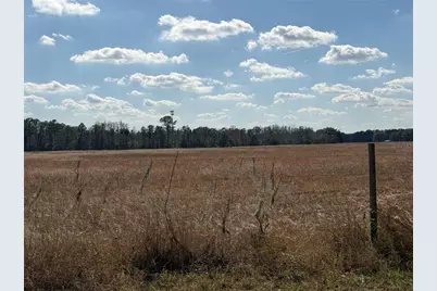 Lake Erie Road, Groveland, FL 34736 - Photo 2