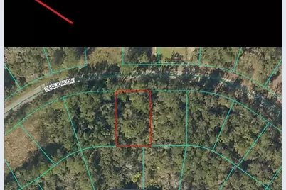 Sequoia Drive, Ocklawaha, FL 32179 - Photo 2