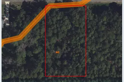 Lot 15 Apricot Avenue, Eustis, FL 32736 - Photo 18