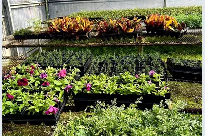 23010 Wolf Branch Road, Sorrento, FL 32776 - Photo 22