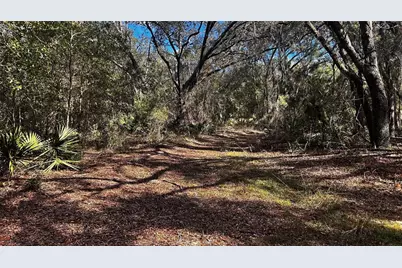 28093 SE Highway 42, Umatilla, FL 32784 - Photo 6