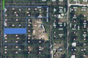 6101 Oak Ridge Ave, Sebring, FL 33876 - Photo 2