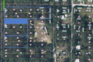 6101 Oak Ridge Ave, Sebring, FL 33876 - Photo 6