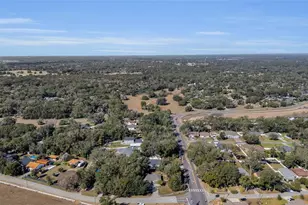 25507 Troon Ave, Sorrento, FL 32776 - Photo 42