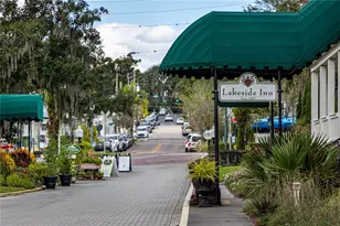 1051 S Highland St, Mount Dora, FL 32757 - Photo 38