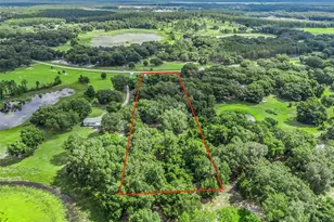 17070 SE 173rd Terrace Rd, Weirsdale, FL 32195 - Photo 40