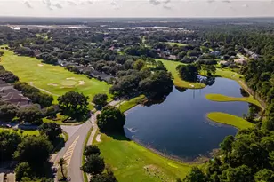 8013 Pine Hollow Dr, Mount Dora, FL 32757 - Photo 40