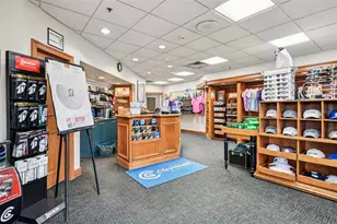 8013 Pine Hollow Dr, Mount Dora, FL 32757 - Photo 36